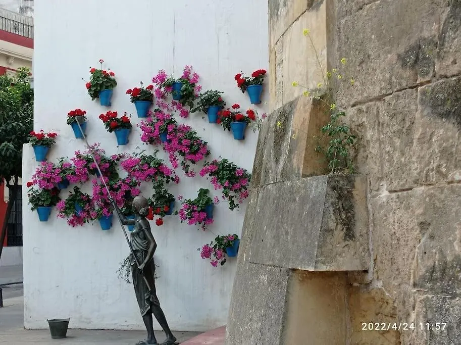 Apartamento Precioso Loft En El Centro De Cordoba.
