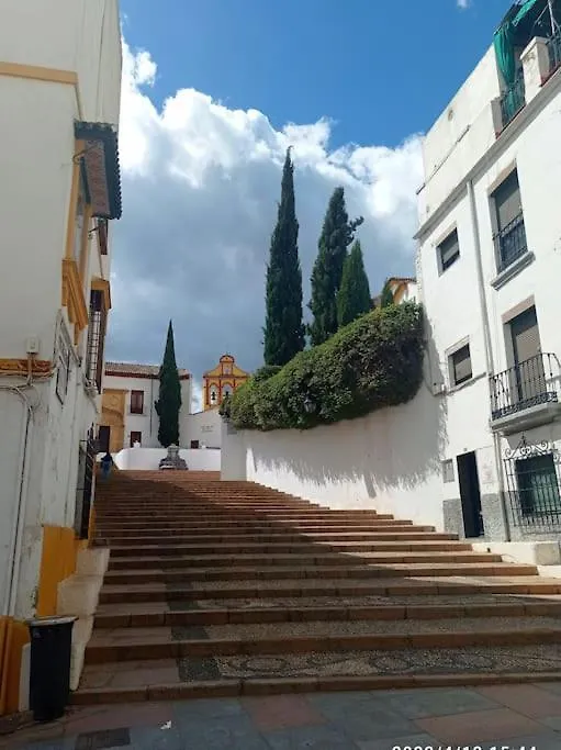 Precioso Loft En El Centro De Cordoba. Apartment